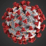 Digital reconstruction of Molecular of Coronavirus